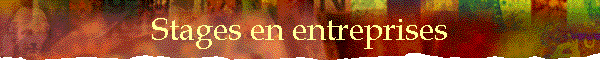 Stages en entreprises