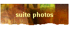 suite photos
