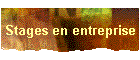 Stages en entreprise